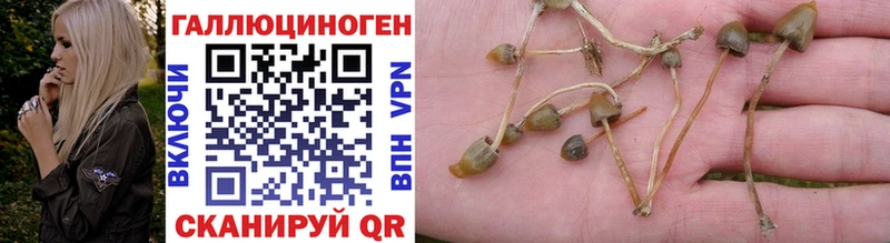 Галлюциногенные грибы GOLDEN TEACHER  Горячеводский 
